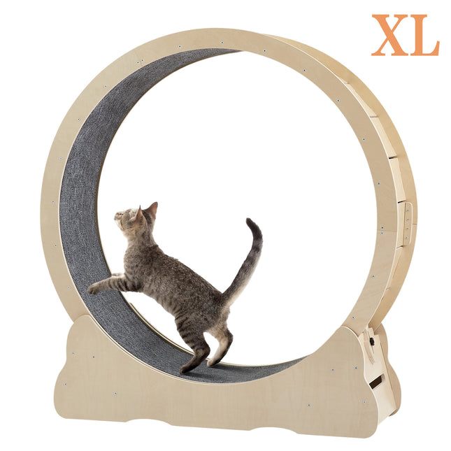 Cat Exercise Wheel - 43.3"L x 13.2"W x 45.9"H Indoor Cat Treadmill with Carpeted Running Track with Latch