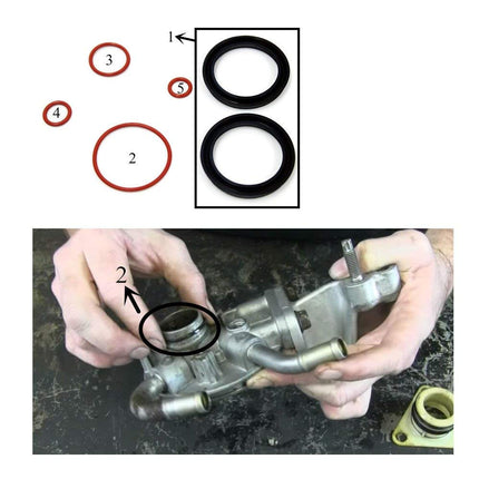 iFJF Fuel Filter Primer Seal Rebuild Kit for 2001-2013 GM Duramax Fuel Filter Housing with 4 Viton O-Rings and 2 Buna Nitrile Plunger Cups