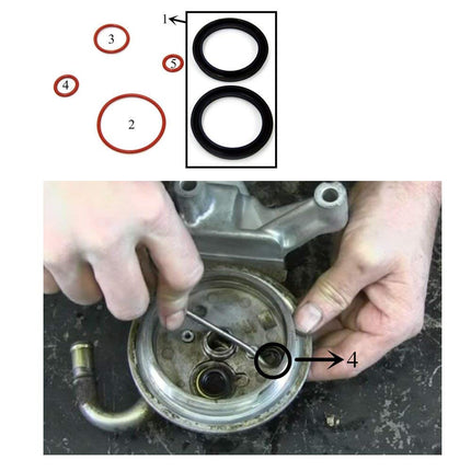 iFJF Fuel Filter Primer Seal Rebuild Kit for 2001-2013 GM Duramax Fuel Filter Housing with 4 Viton O-Rings and 2 Buna Nitrile Plunger Cups